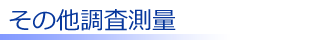 その他調査測量